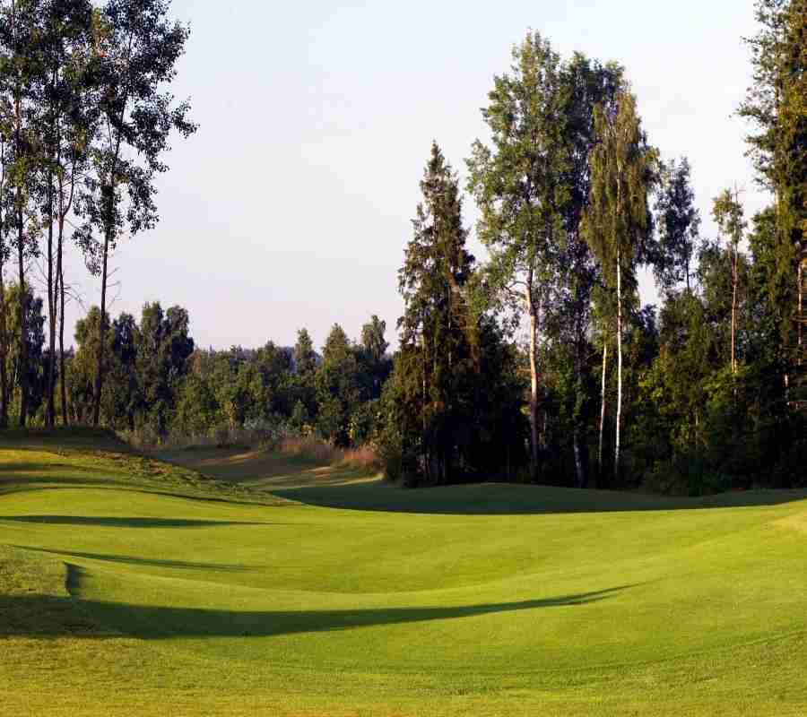 V Golf Club